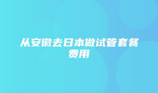 从安徽去日本做试管套餐费用