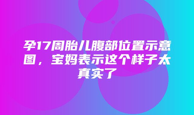 孕17周胎儿腹部位置示意图，宝妈表示这个样子太真实了