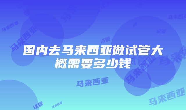 国内去马来西亚做试管大概需要多少钱