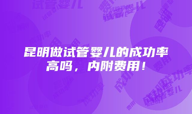 昆明做试管婴儿的成功率高吗，内附费用！