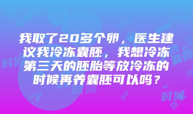 我取了20多个卵，医生建议我冷冻囊胚，我想冷冻第三天的胚胎等放冷冻的时候再养囊胚可以吗？