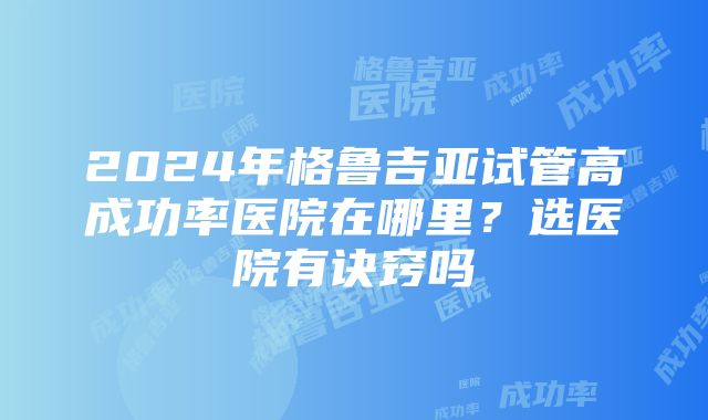 2024年格鲁吉亚试管高成功率医院在哪里？选医院有诀窍吗