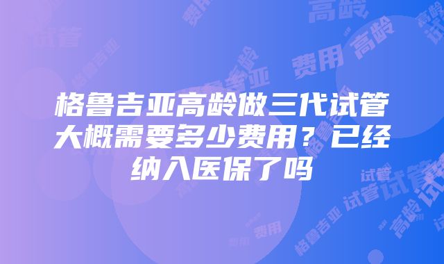 格鲁吉亚高龄做三代试管大概需要多少费用？已经纳入医保了吗