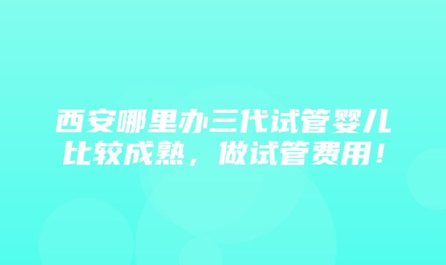 西安哪里办三代试管婴儿比较成熟，做试管费用！