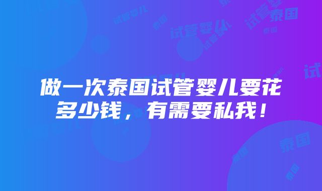 做一次泰国试管婴儿要花多少钱，有需要私我！