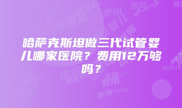 哈萨克斯坦做三代试管婴儿哪家医院？费用12万够吗？