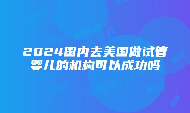 2024国内去美国做试管婴儿的机构可以成功吗