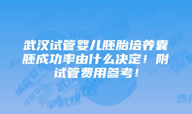 武汉试管婴儿胚胎培养囊胚成功率由什么决定！附试管费用参考！