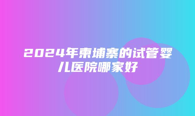 2024年柬埔寨的试管婴儿医院哪家好