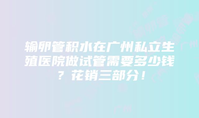 输卵管积水在广州私立生殖医院做试管需要多少钱？花销三部分！