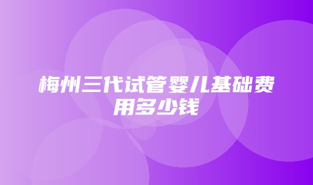 梅州三代试管婴儿基础费用多少钱