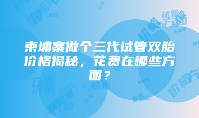 柬埔寨做个三代试管双胎价格揭秘，花费在哪些方面？