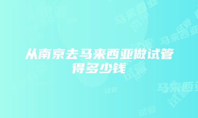 从南京去马来西亚做试管得多少钱