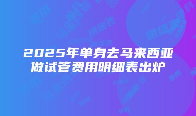 2025年单身去马来西亚做试管费用明细表出炉