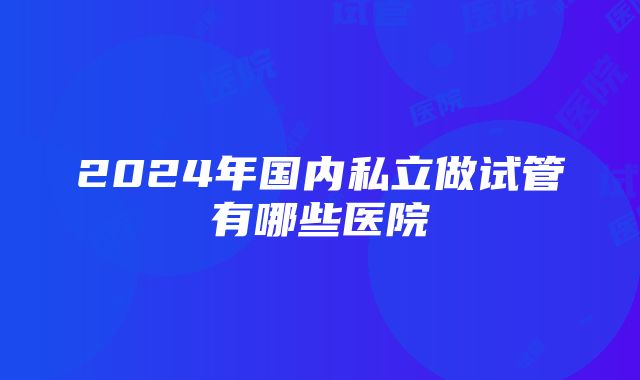 2024年国内私立做试管有哪些医院