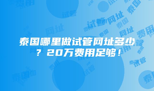 泰国哪里做试管网址多少？20万费用足够！