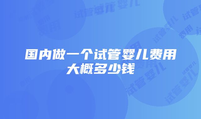 国内做一个试管婴儿费用大概多少钱