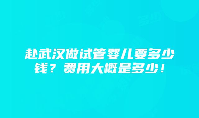 赴武汉做试管婴儿要多少钱？费用大概是多少！