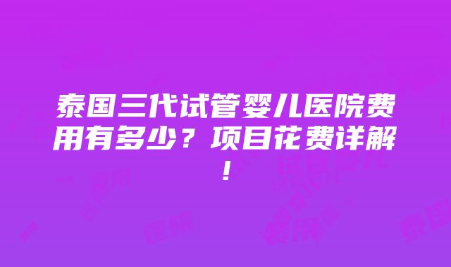 泰国三代试管婴儿医院费用有多少？项目花费详解!