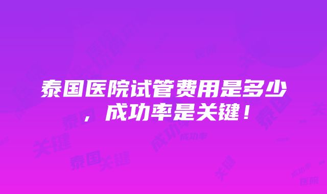 泰国医院试管费用是多少，成功率是关键！