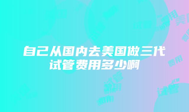 自己从国内去美国做三代试管费用多少啊