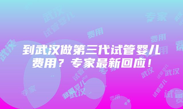 到武汉做第三代试管婴儿费用？专家最新回应！