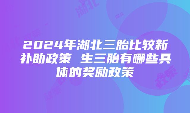 2024年湖北三胎比较新补助政策 生三胎有哪些具体的奖励政策