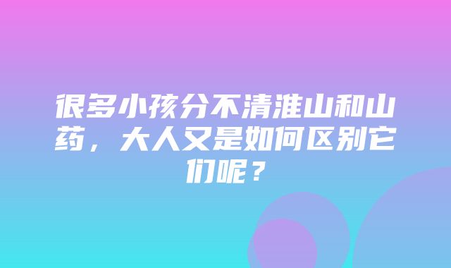 很多小孩分不清淮山和山药，大人又是如何区别它们呢？