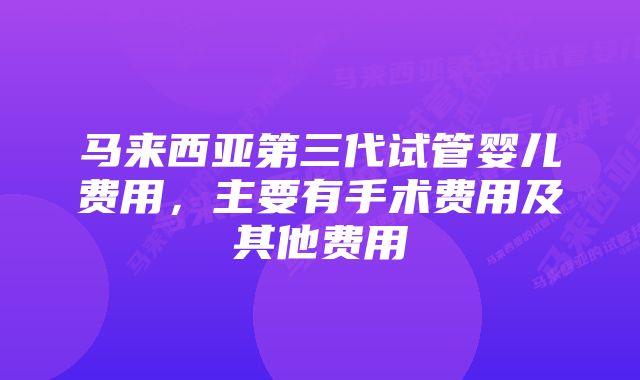 马来西亚第三代试管婴儿费用，主要有手术费用及其他费用