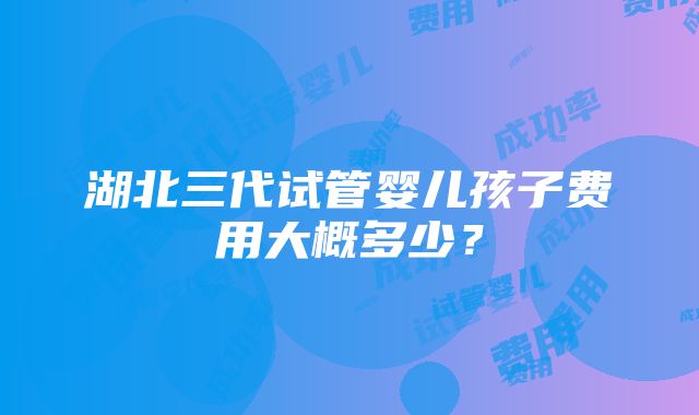 湖北三代试管婴儿孩子费用大概多少？