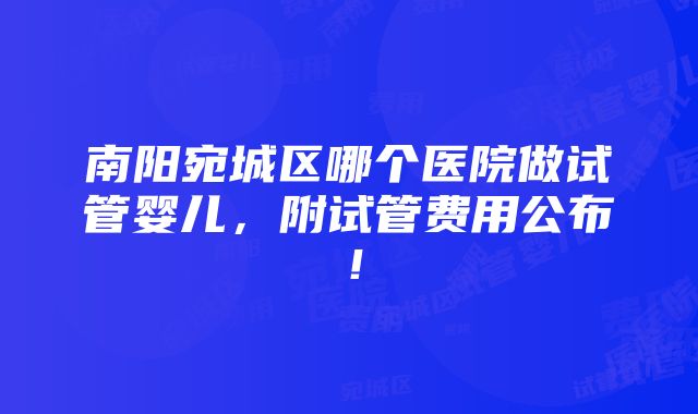 南阳宛城区哪个医院做试管婴儿，附试管费用公布！