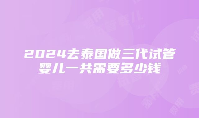 2024去泰国做三代试管婴儿一共需要多少钱