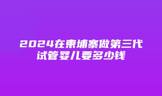 2024在柬埔寨做第三代试管婴儿要多少钱