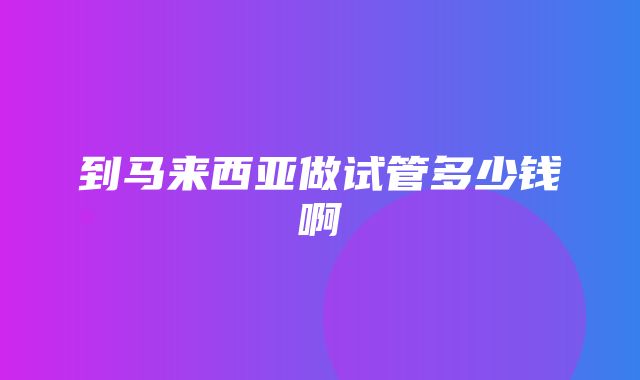 到马来西亚做试管多少钱啊