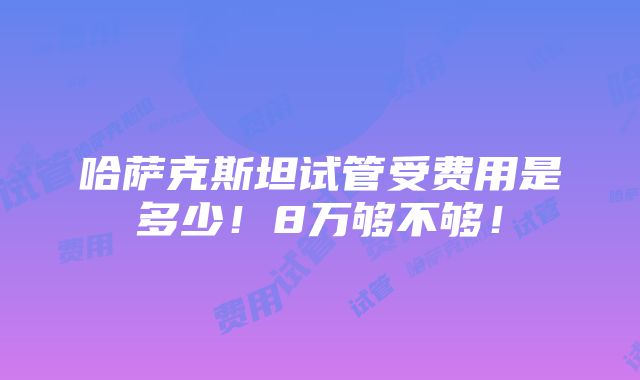 哈萨克斯坦试管受费用是多少！8万够不够！