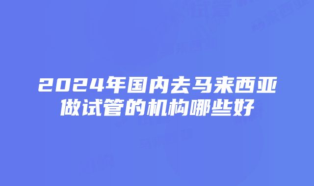 2024年国内去马来西亚做试管的机构哪些好