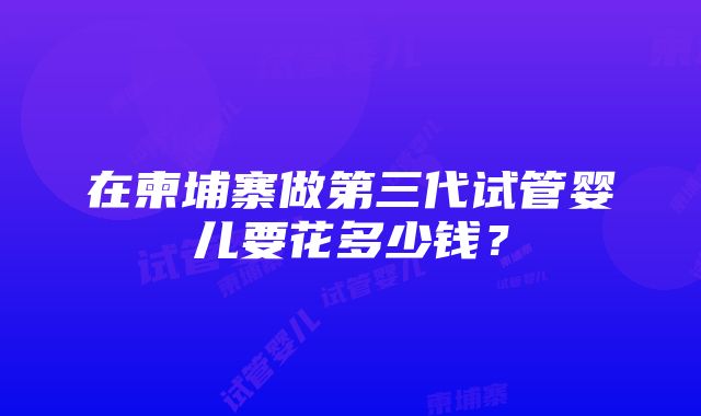 在柬埔寨做第三代试管婴儿要花多少钱？