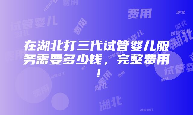 在湖北打三代试管婴儿服务需要多少钱，完整费用！