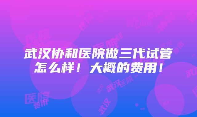 武汉协和医院做三代试管怎么样！大概的费用！