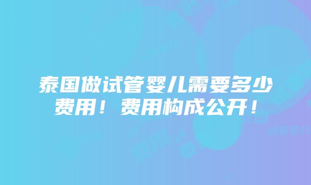 泰国做试管婴儿需要多少费用！费用构成公开！