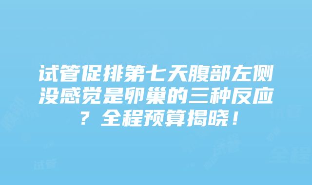 试管促排第七天腹部左侧没感觉是卵巢的三种反应？全程预算揭晓！