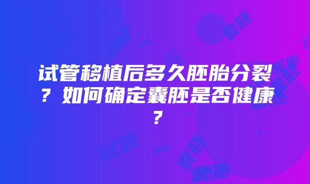 试管移植后多久胚胎分裂？如何确定囊胚是否健康？