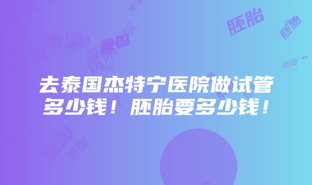 去泰国杰特宁医院做试管多少钱！胚胎要多少钱！