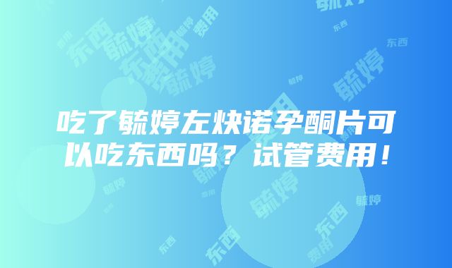 吃了毓婷左炔诺孕酮片可以吃东西吗？试管费用！