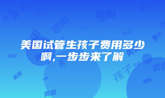 美国试管生孩子费用多少啊,一步步来了解