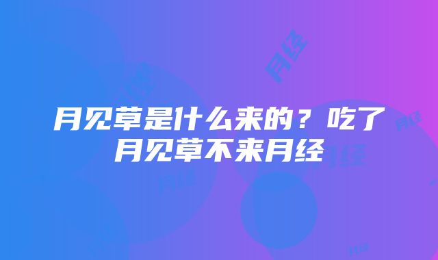 月见草是什么来的？吃了月见草不来月经