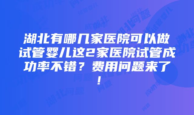 湖北有哪几家医院可以做试管婴儿这2家医院试管成功率不错？费用问题来了！