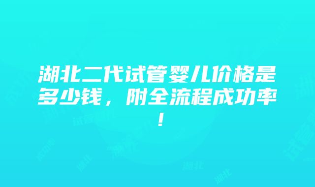 湖北二代试管婴儿价格是多少钱，附全流程成功率！