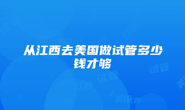 从江西去美国做试管多少钱才够