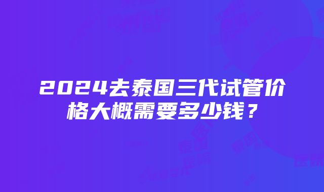 2024去泰国三代试管价格大概需要多少钱？